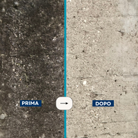 DETERGENTE PER FACCIATE