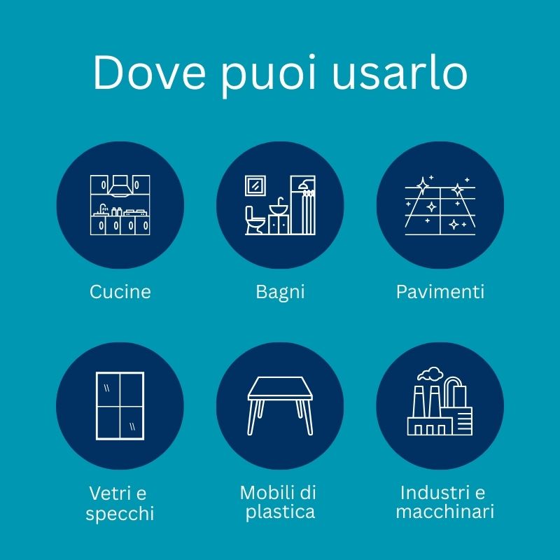 Interpul-Leida: Professional Detergents, Disinfectants and Accessories