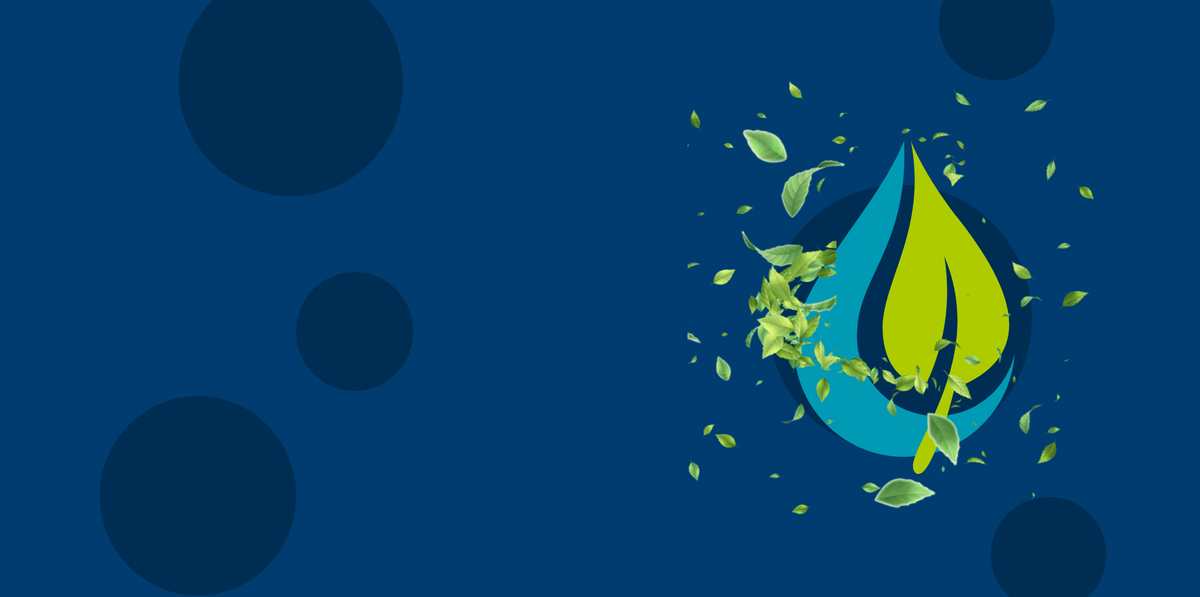 Interpul-Leida: Professional Detergents, Disinfectants and Accessories